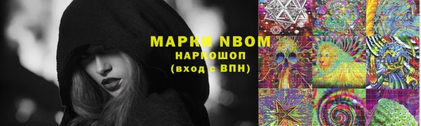 прущие грибы Армянск
