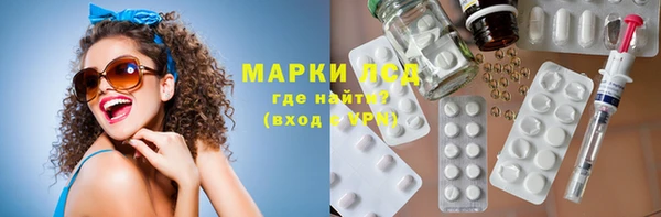spice Аркадак