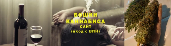прущие грибы Армянск