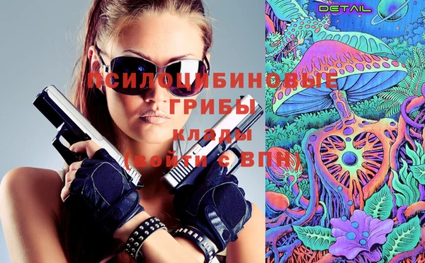 spice Аркадак