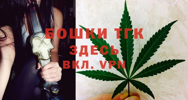 прущие грибы Армянск