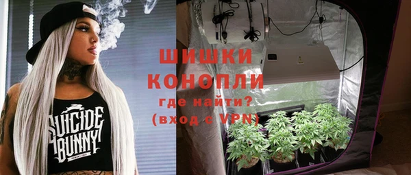 прущие грибы Армянск