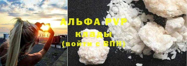 стафф Арсеньев